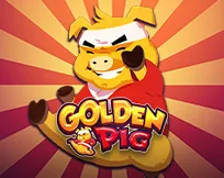 Golden Pig